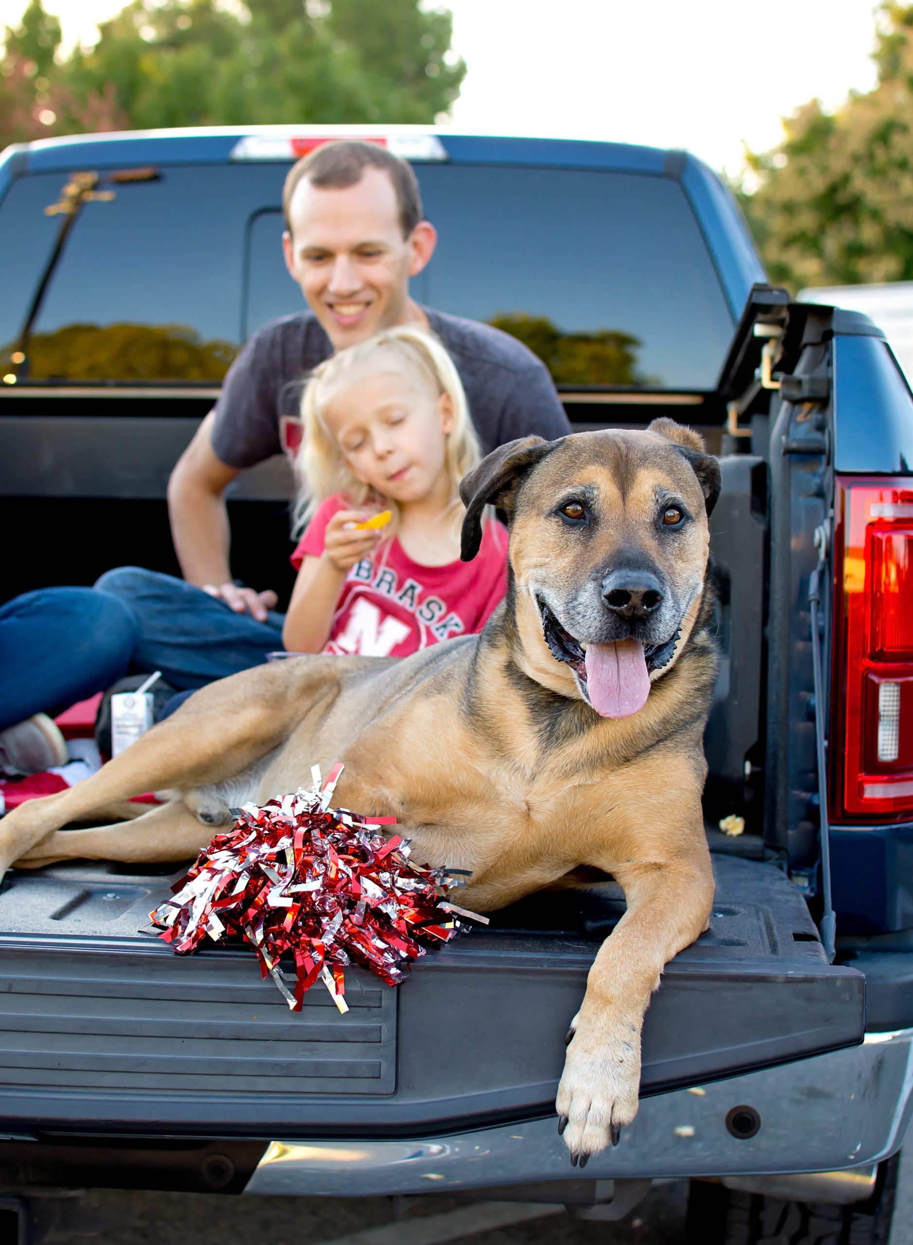 Riverside Family Photographer. Dog sitting in the tailgate of a truck holding a pompom